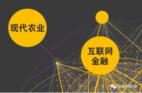 互联网+农产品业态 保康供销社以“五有”模式助力乡村振兴